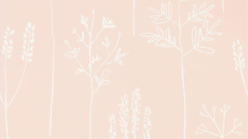 Stipa 112018
